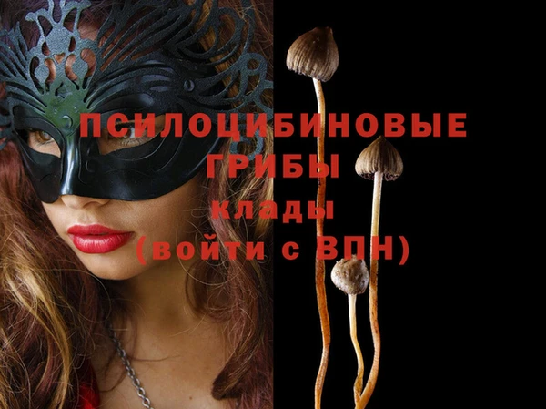 Альфа ПВП Михайловка
