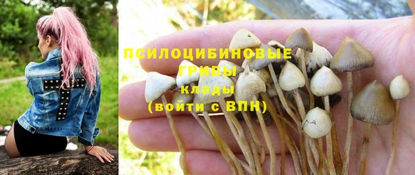 мескалин Михайлов